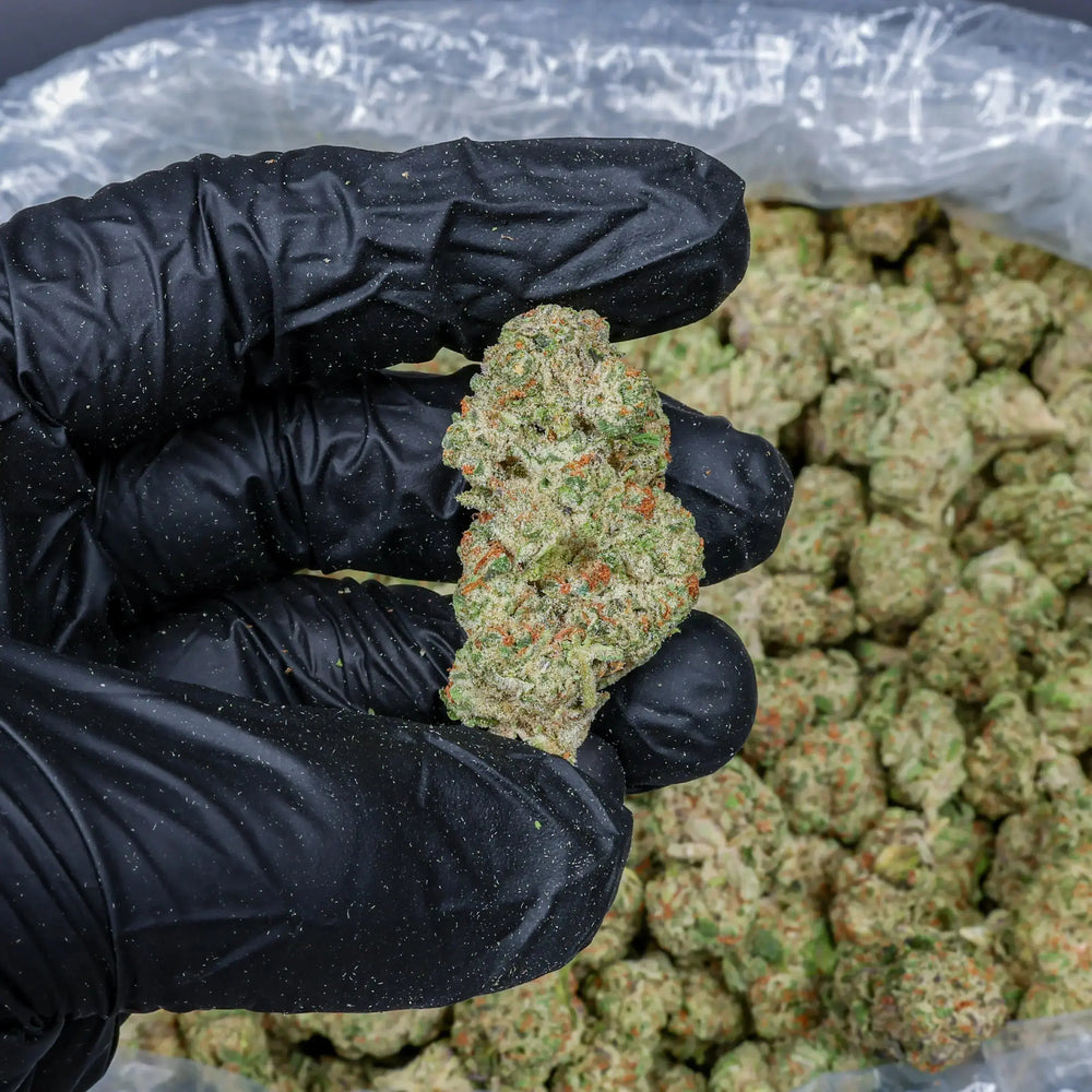 Lemon Barz - KannabeastSupplements