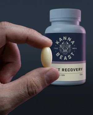 Hemp Extract Night Recovery