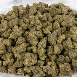 Alien OG - KannabeastSupplements