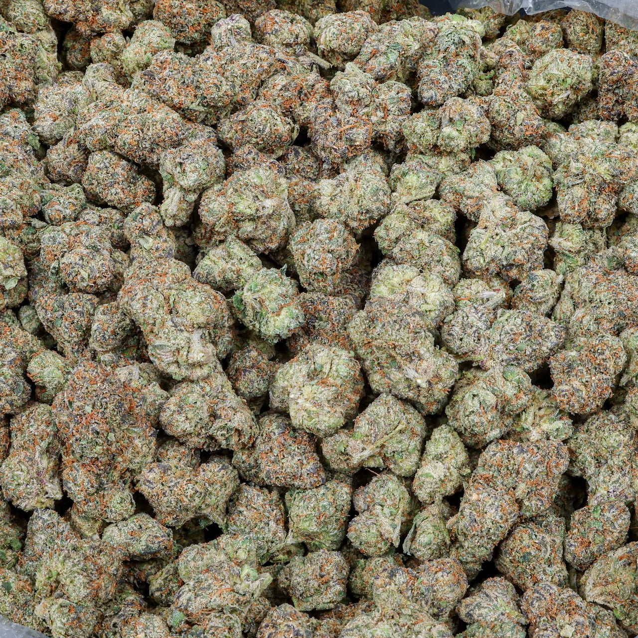 Cosmic Candy Kanna Beast