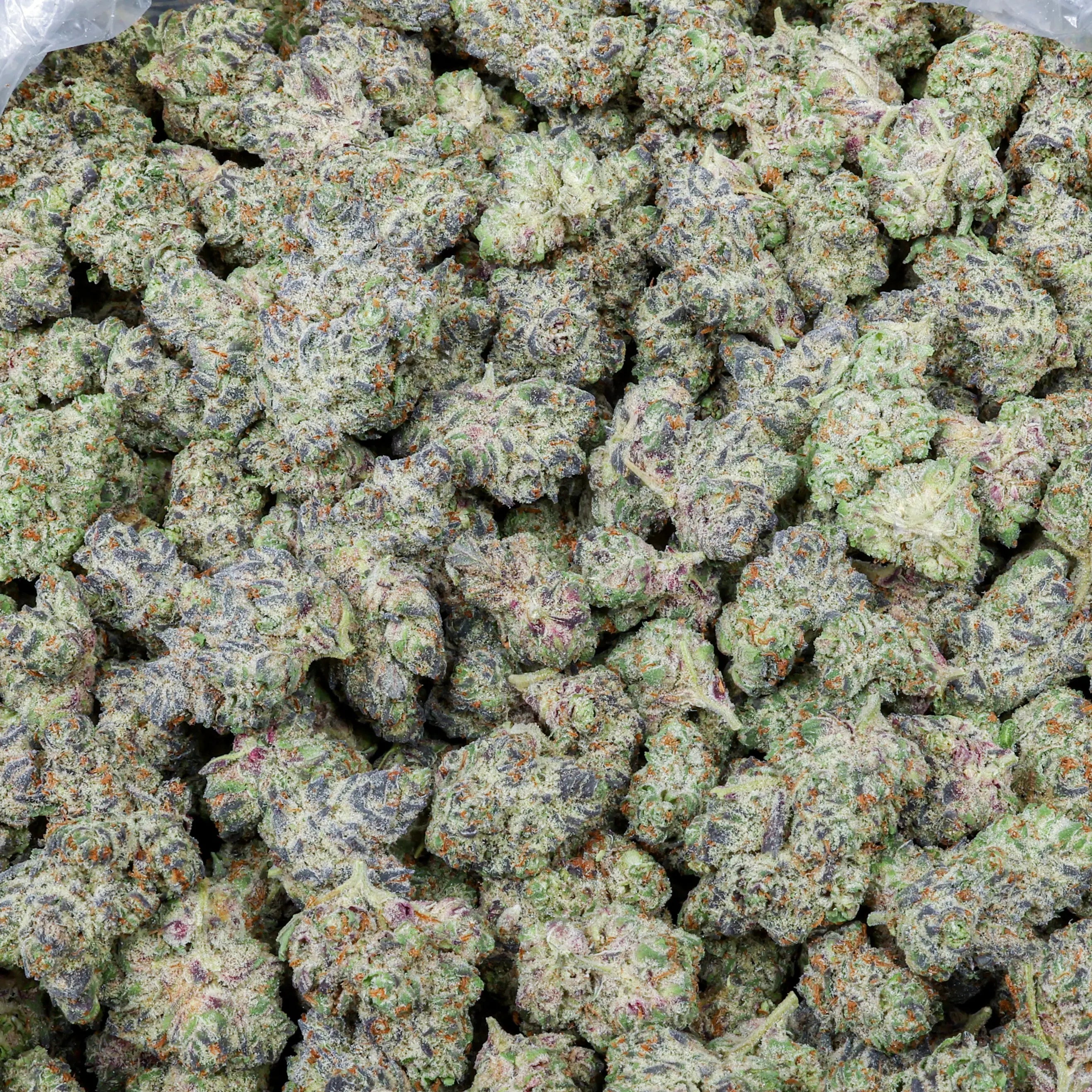 Espresso Cake Kanna Beast