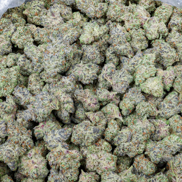 Espresso Cake Kanna Beast