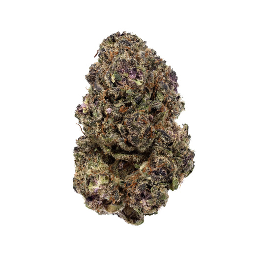 Gary Payton - KannabeastSupplements