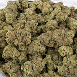 Gelato Candy - KannabeastSupplements