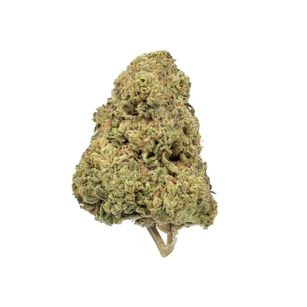 Gelato Candy - KannabeastSupplements