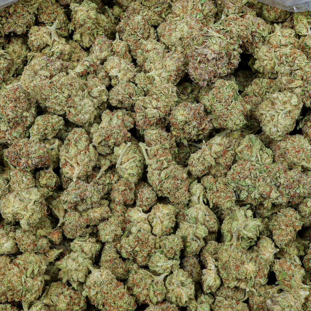 Gelato Kanna Beast
