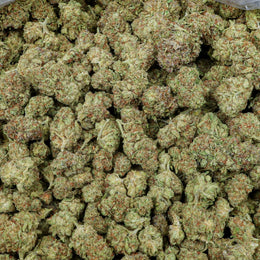 Gelato Kanna Beast
