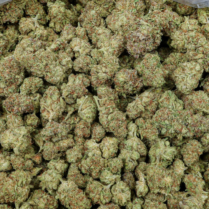 Gelato Kanna Beast