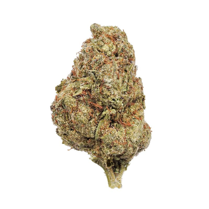 Gelato Kanna Beast