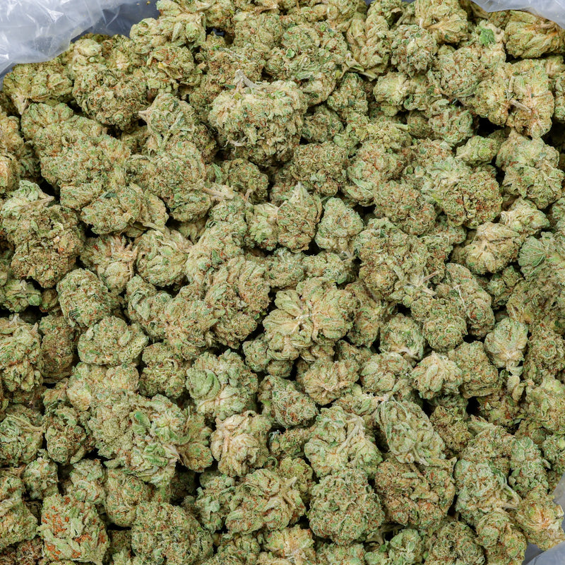 Gorilla Glue Kanna Beast