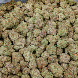 Grape Jolly Rancher Kanna Beast