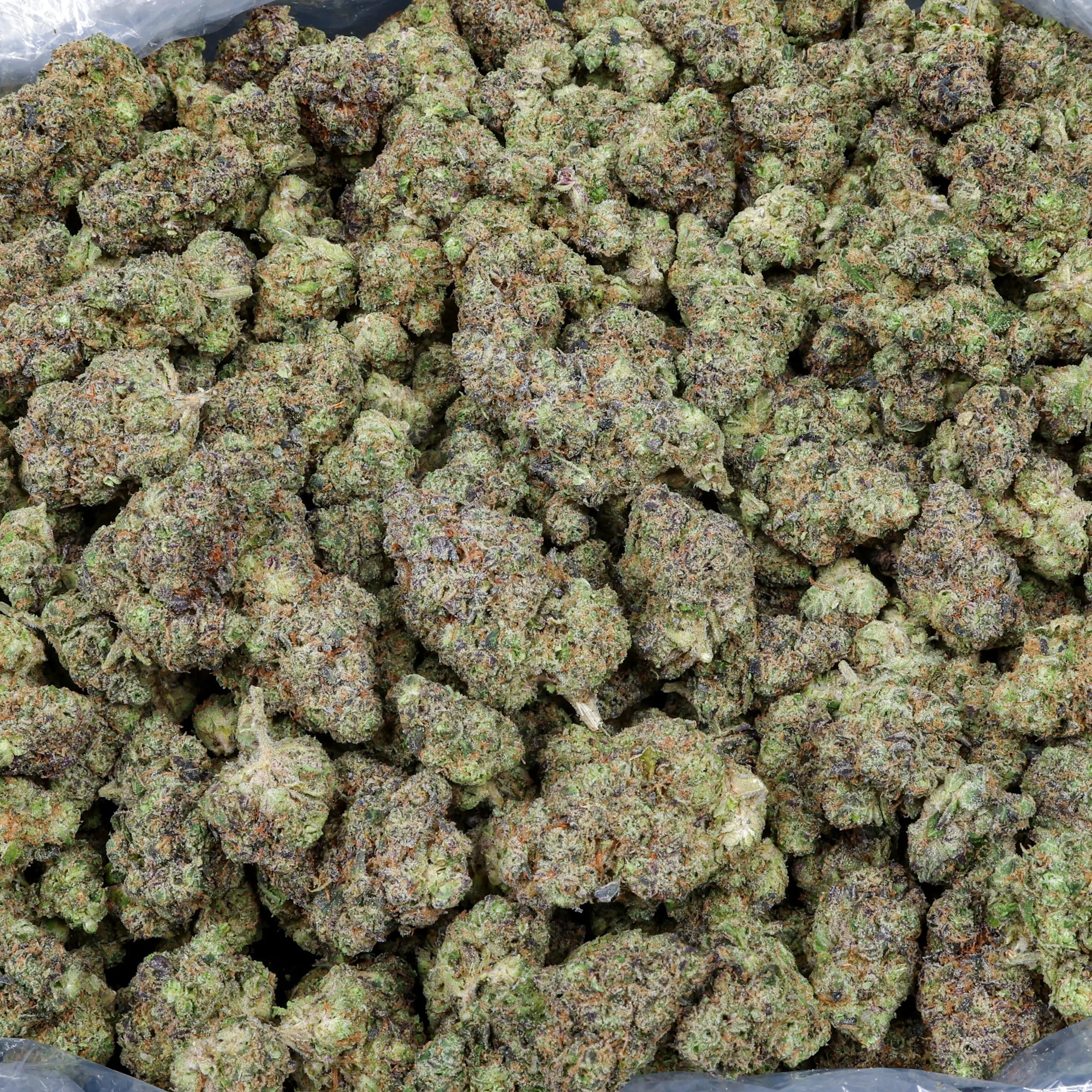 Hash Burger Kanna Beast