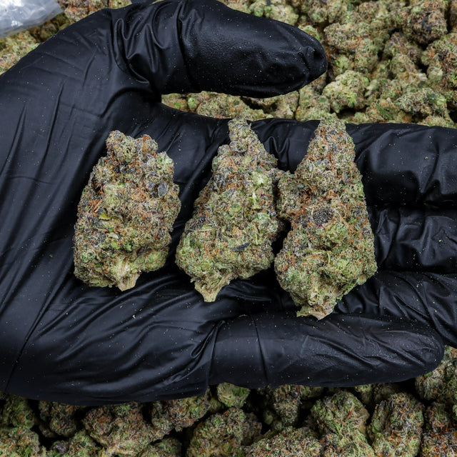 Hash Burger Kanna Beast