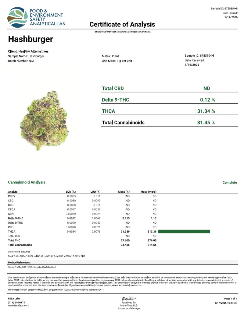 Hash Burger - KannabeastSupplements