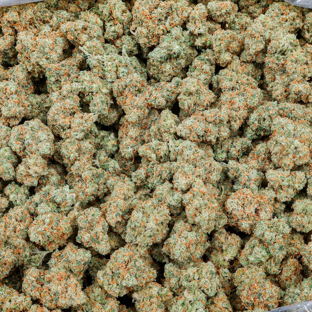 Jack Herer Kanna Beast