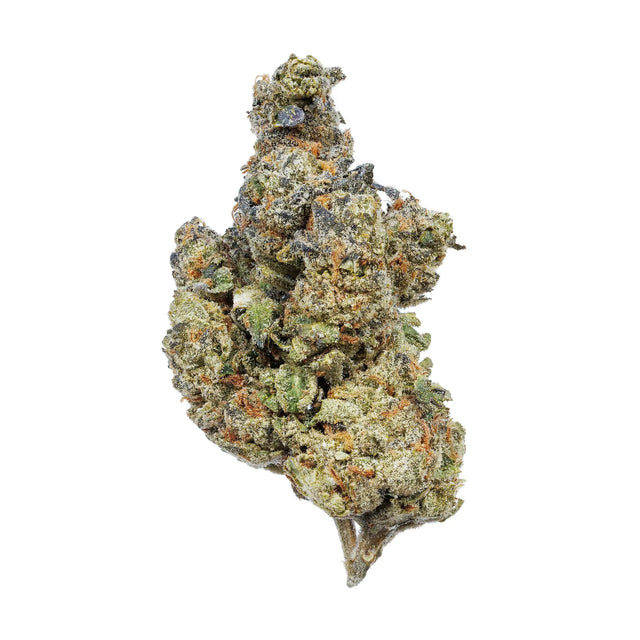 Jealousy Kanna Beast