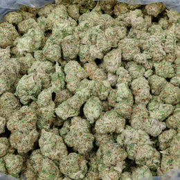 Lemon Barz Kanna Beast