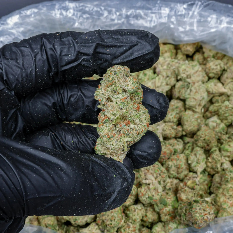 Lemon Barz - KannabeastSupplements