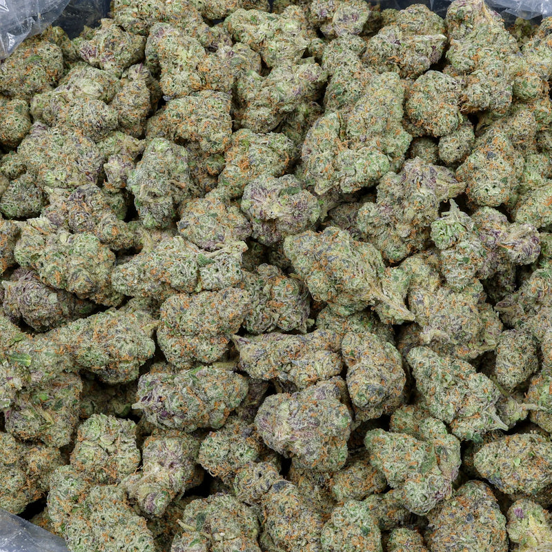 Mule Fuel Kanna Beast