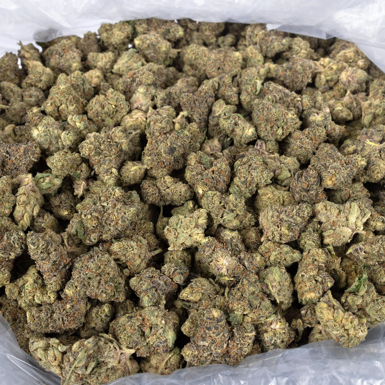 Sherb Cream Pie - KannabeastSupplements