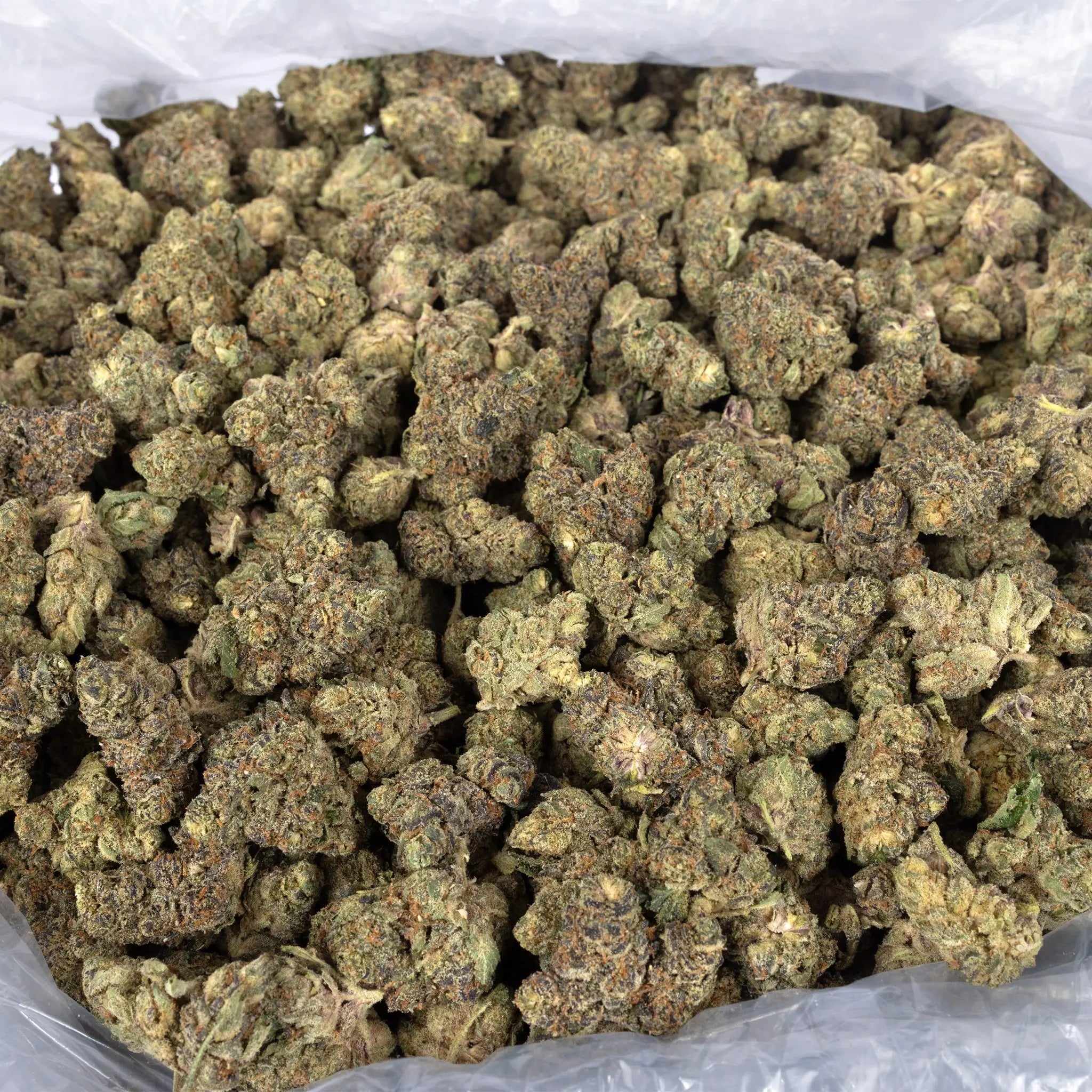 Sherb Cream Pie - KannabeastSupplements