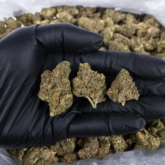 Sherb Cream Pie - KannabeastSupplements