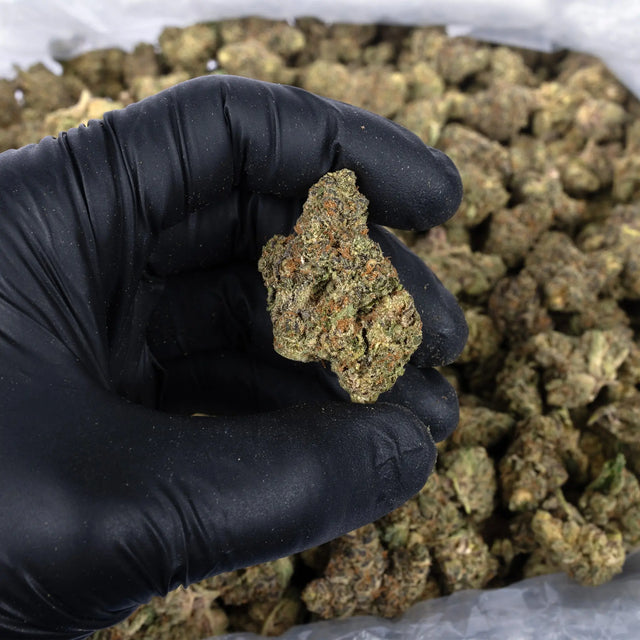 Sherb Cream Pie - KannabeastSupplements