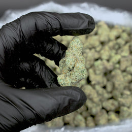 Mule Fuel