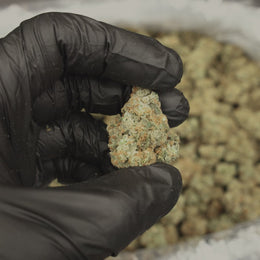 Jack Herer