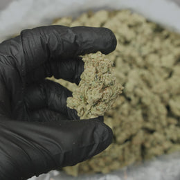 Platinum Puff
